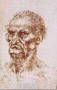 LEONARDO da Vinci Study of an old man oil painting